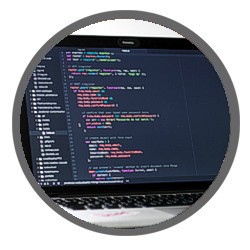Webentwicklung (Web Developer) aus Lippe